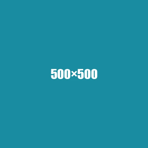 image de remplacement 500 × 500