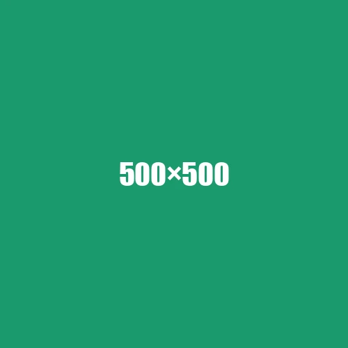 image de remplacement 500 × 500