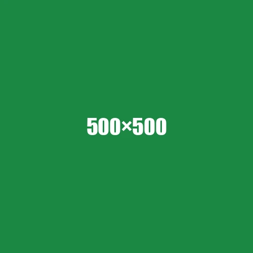 image de remplacement 500 × 500