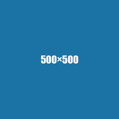 image de remplacement 500 × 500