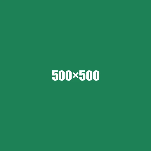 image de remplacement 500 × 500