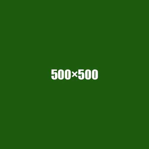 image de remplacement 500 × 500