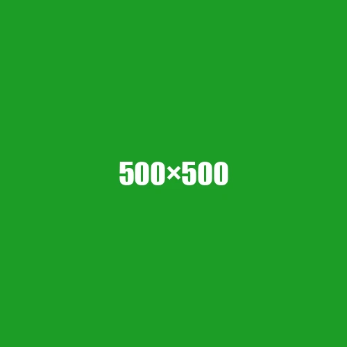 image de remplacement 500 × 500