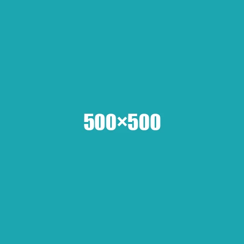 image de remplacement 500 × 500