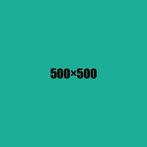 image de remplacement 500 × 500