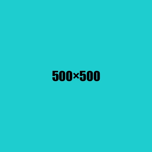image de remplacement 500 × 500