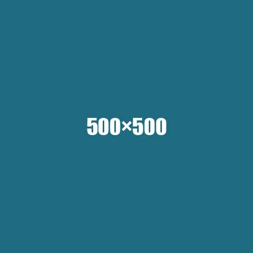 image de remplacement 500 × 500