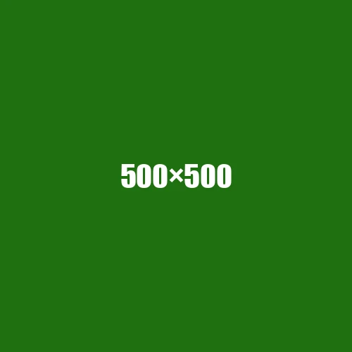 image de remplacement 500 × 500