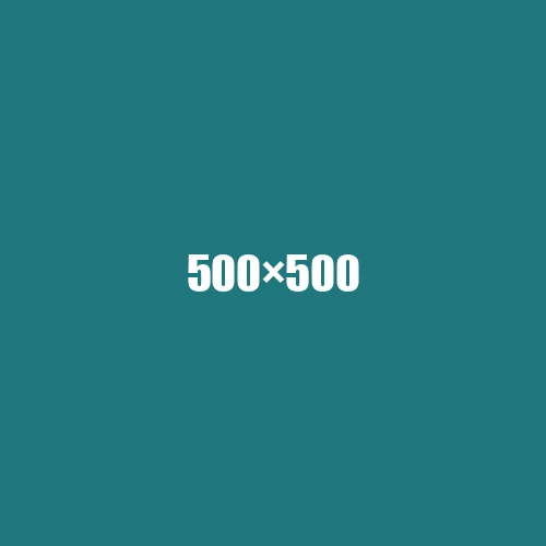 image de remplacement 500 × 500