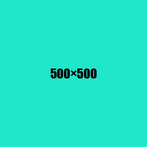 image de remplacement 500 × 500