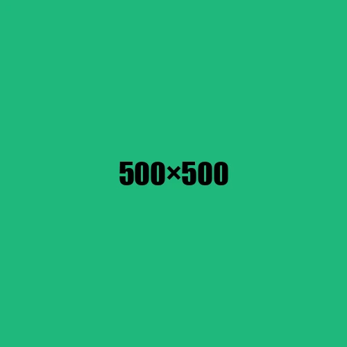 image de remplacement 500 × 500