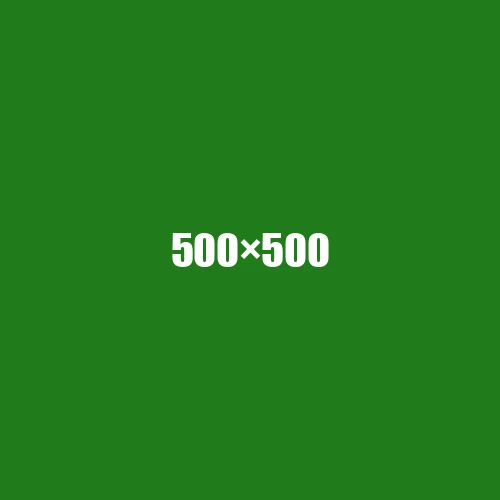 image de remplacement 500 × 500