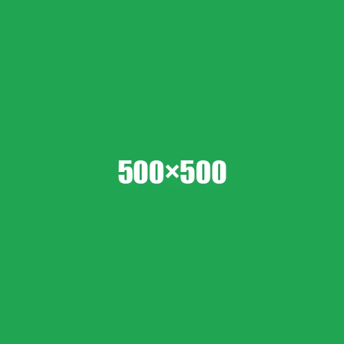 image de remplacement 500 × 500