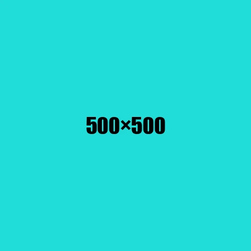 image de remplacement 500 × 500