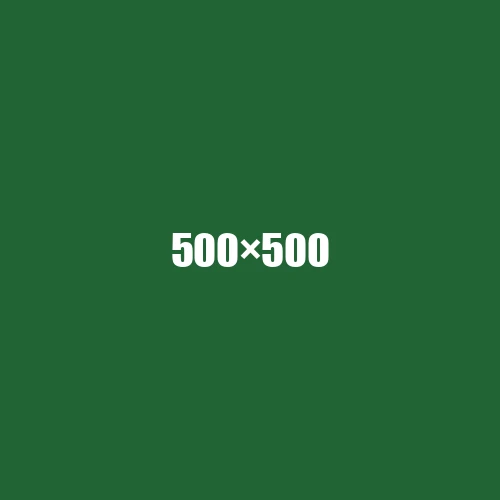 image de remplacement 500 × 500