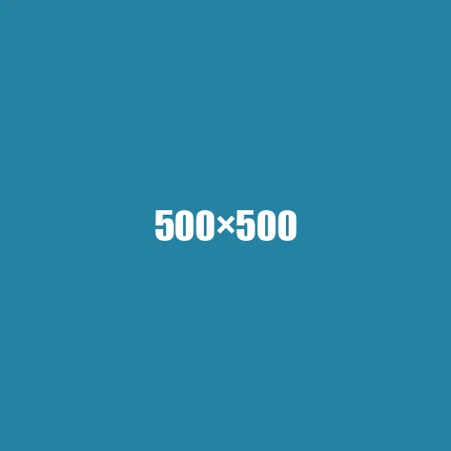 image de remplacement 500 × 500