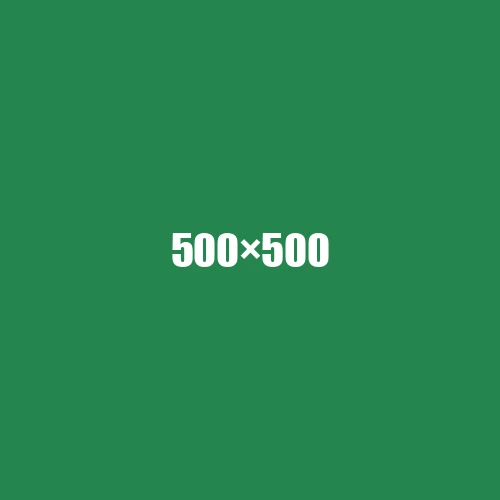 image de remplacement 500 × 500