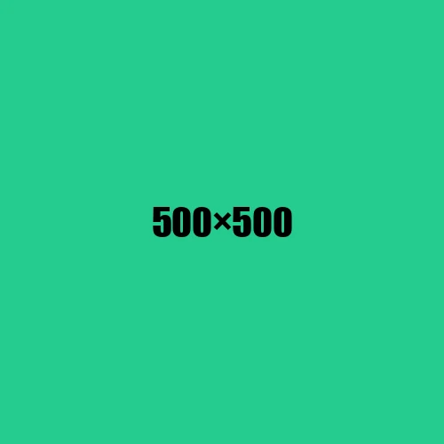 image de remplacement 500 × 500