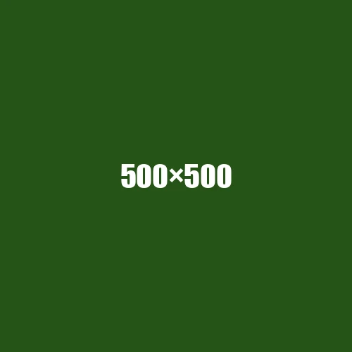 image de remplacement 500 × 500