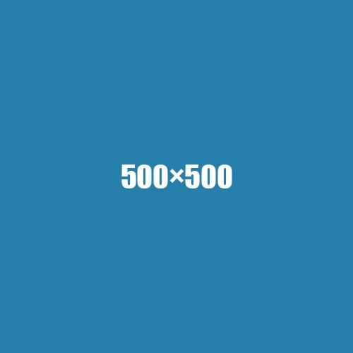image de remplacement 500 × 500