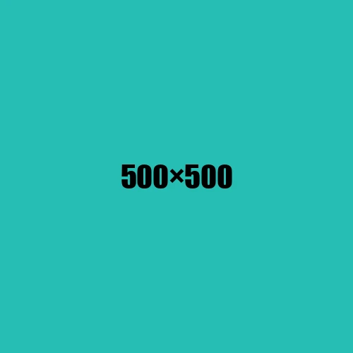 image de remplacement 500 × 500