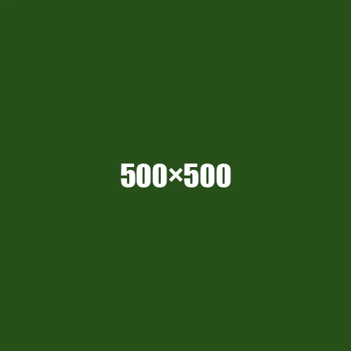 image de remplacement 500 × 500