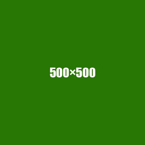 image de remplacement 500 × 500