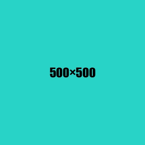 image de remplacement 500 × 500