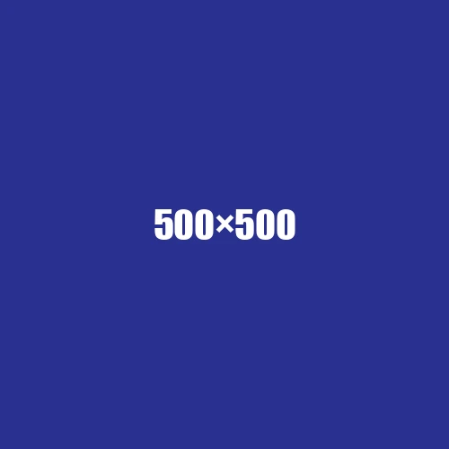 image de remplacement 500 × 500
