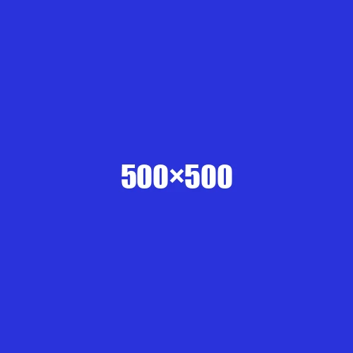image de remplacement 500 × 500