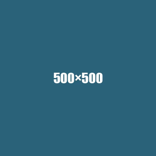 image de remplacement 500 × 500