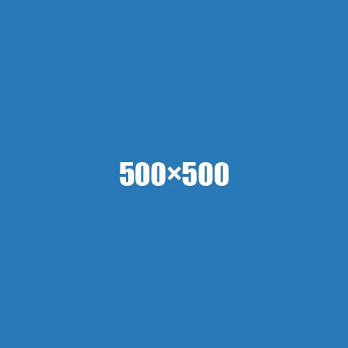 image de remplacement 500 × 500