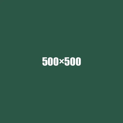 image de remplacement 500 × 500
