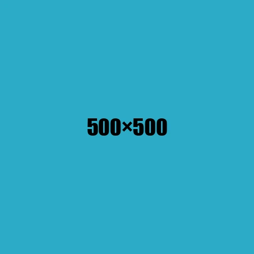 image de remplacement 500 × 500