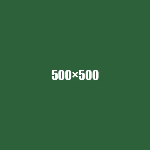 image de remplacement 500 × 500