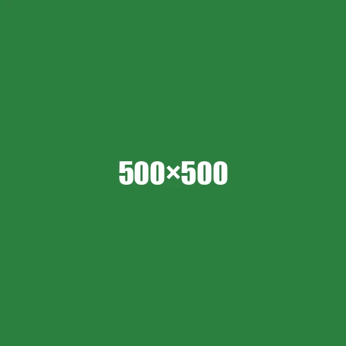 image de remplacement 500 × 500