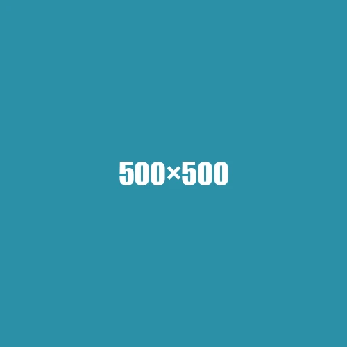 image de remplacement 500 × 500