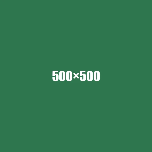 image de remplacement 500 × 500