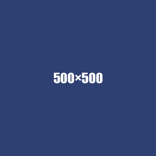 image de remplacement 500 × 500