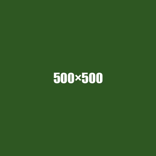 image de remplacement 500 × 500