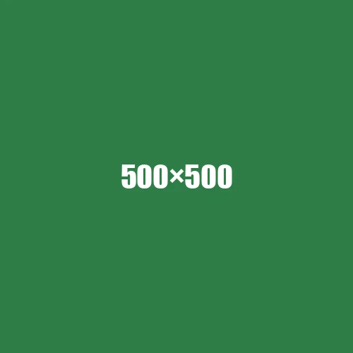 image de remplacement 500 × 500