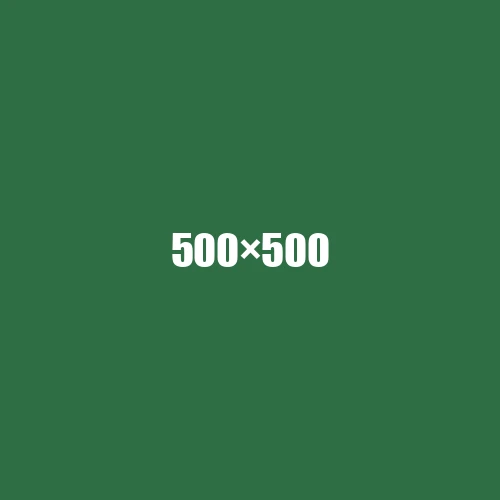 image de remplacement 500 × 500