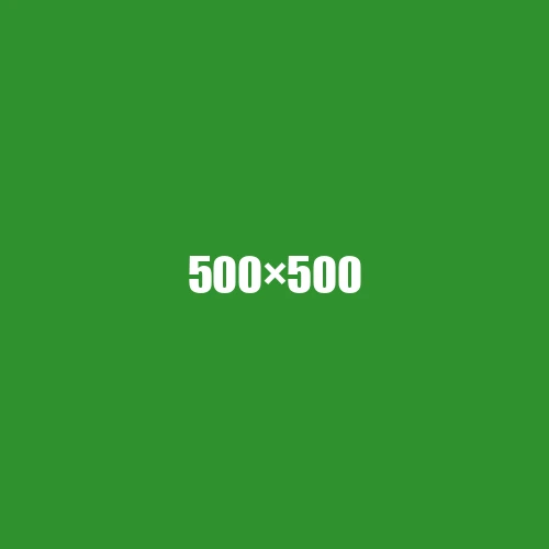 image de remplacement 500 × 500