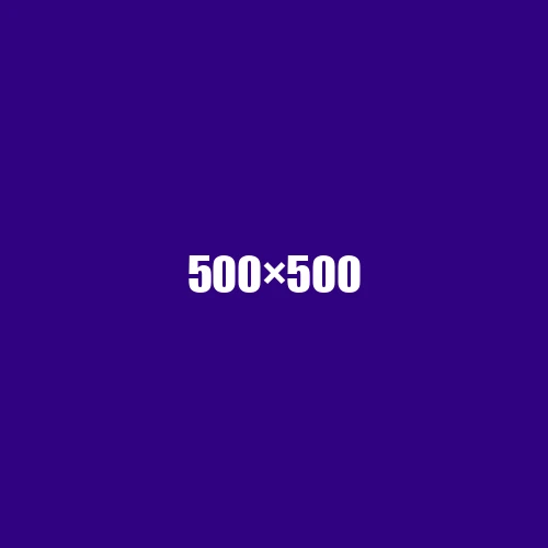 image de remplacement 500 × 500