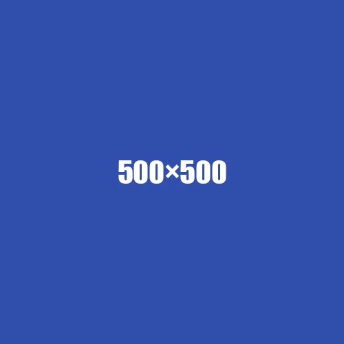 image de remplacement 500 × 500