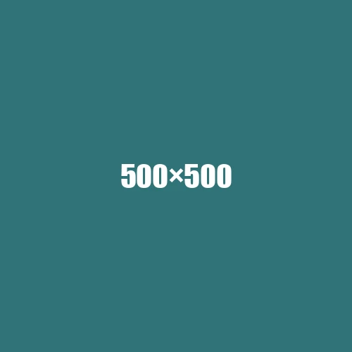 image de remplacement 500 × 500