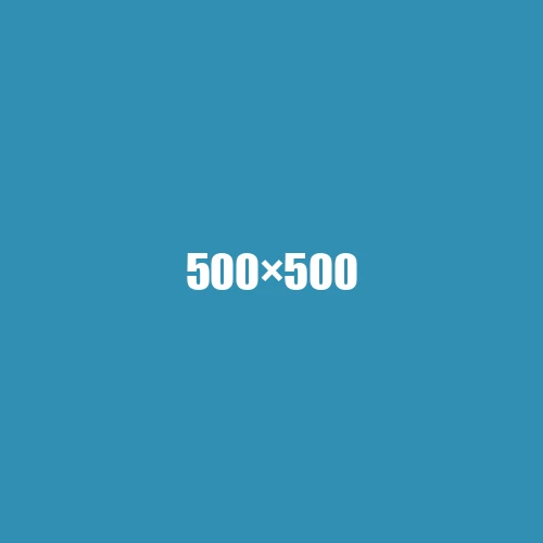 image de remplacement 500 × 500