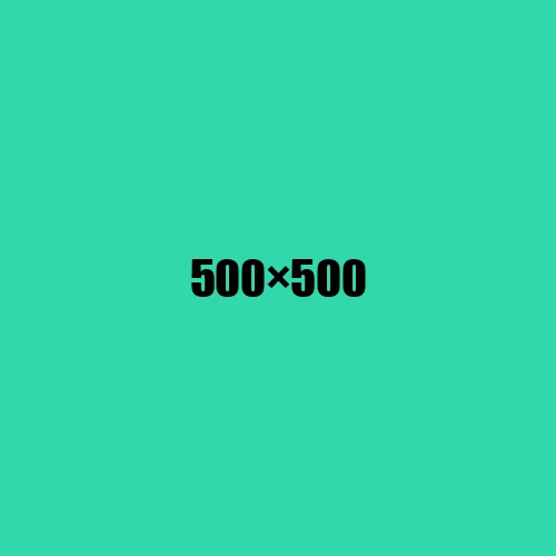 image de remplacement 500 × 500