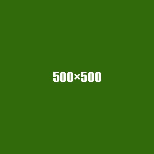 image de remplacement 500 × 500