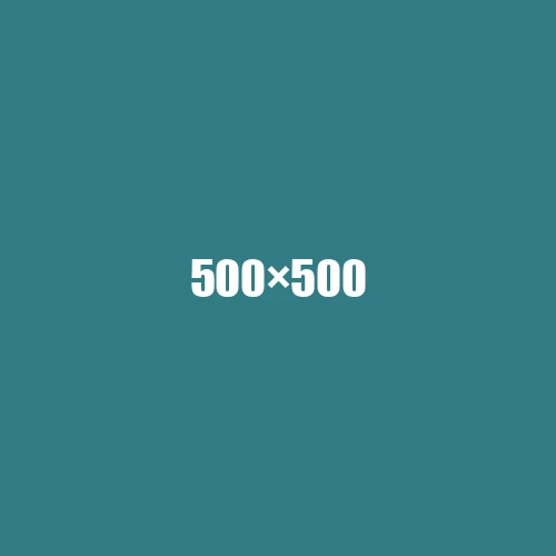 image de remplacement 500 × 500